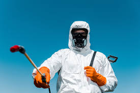 Best Organic or Eco-Friendly Pest Control  in Vinton, VA